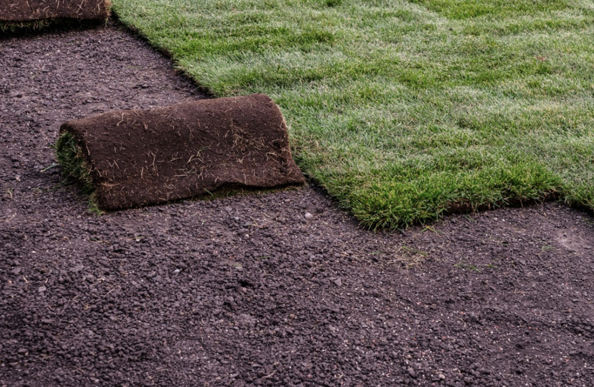 Sod Installation